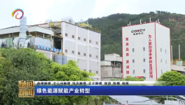 海螺水泥兩家工廠同一天都上電視啦！